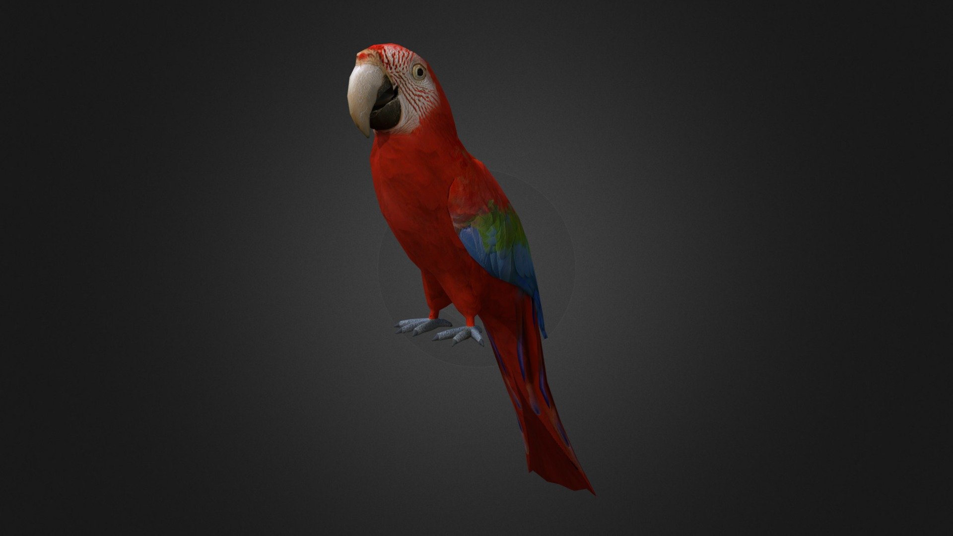 Red-and-green macaw - Buy Royalty Free 3D model by Ondřej Vališ (@throy) 3d model