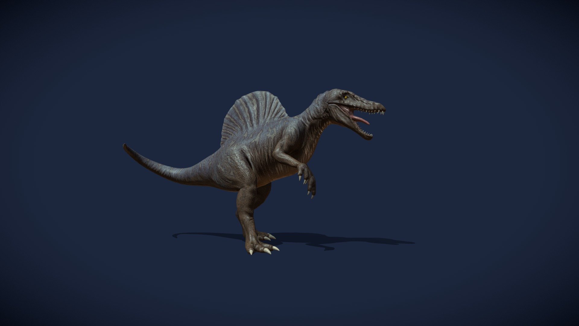 This is my game ready mesh of Spinosaur with custom pattern. I really like dinosaurs and after completed Monster Hunter I had a lot of inspiration there, so I decided to create one of my favourite monster ;) In this model I tried to make realistic model as much, as possible.

I want to make the bestiary of my creatures that I created.
According to my interpretation, the Spinosaurs lives in the highlands near the volcanoes. Their pattern growing on their back effectively deters other predators and thanks to this they can easly hunt their favorite meal. They weren't big, but certainly belonged to the most aggressive and most bloodthirsty dinosaurs, they never let a prey escape from their sharp claws.

Sketchfab: https://sketchfab.com/gathiarart

Artstation: https://www.artstation.com/gathiarart

E-mail: GathiarArt@gmail.com - Spinosaur, the bloodthirsty dinosaur - 3D model by Gathiar Art (@gathiarart) 3d model