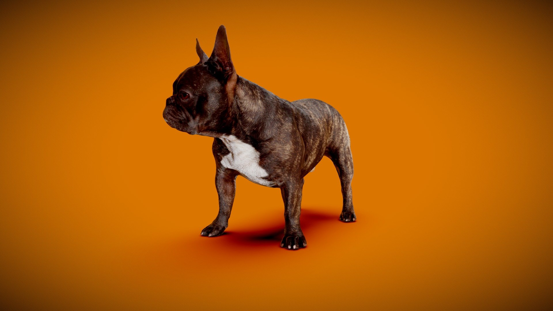 3D Fullbodyscan DOG Male retopologized SubdivLvl3, 
based on DOG B - 8of13: https://skfb.ly/o9r6K




8K and 4K PBR-Textures (Diffuse, Roughness, Normal, SSS)

only one UV-Shell for simple anisotropy (no FlowMap required!) to fake short fur!

Real World Scale

watertight

quads

ScanService: www.optimission.de - DOG B - 8of13- PBR QuadRetopo V2 - Buy Royalty Free 3D model by Frank.Zwick (@Frank_Zwick) 3d model