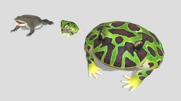 3 kinds of horned frog frog, low-poly, hornedfrog