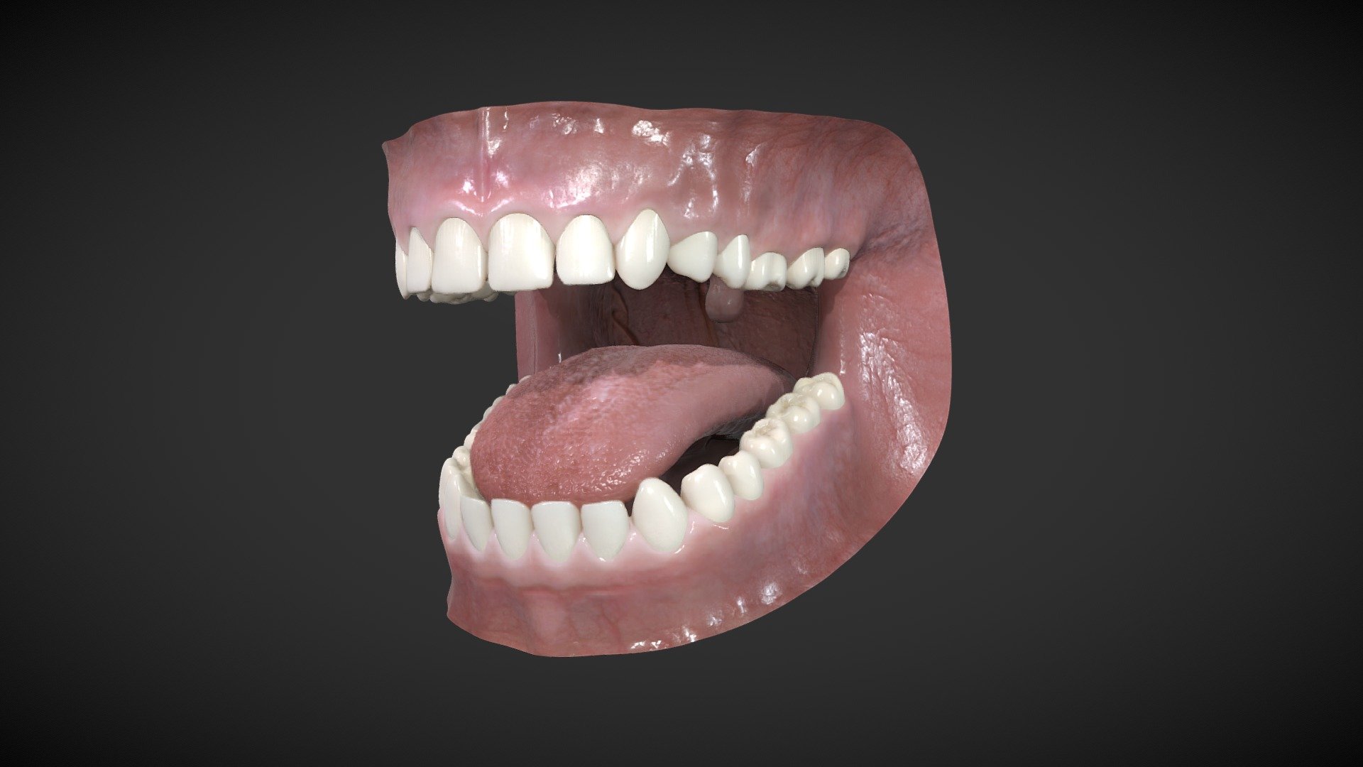 Base model of a mouth made in Blender 2.93 - Mouth Model 2021 - 3D model by Jim Morren (@journeyman) 3d model