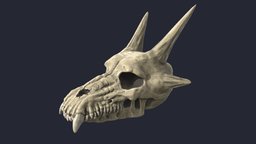 Dragon Skull sculpt, mudbox, reptile, substancepainter, skull, dragon, bones