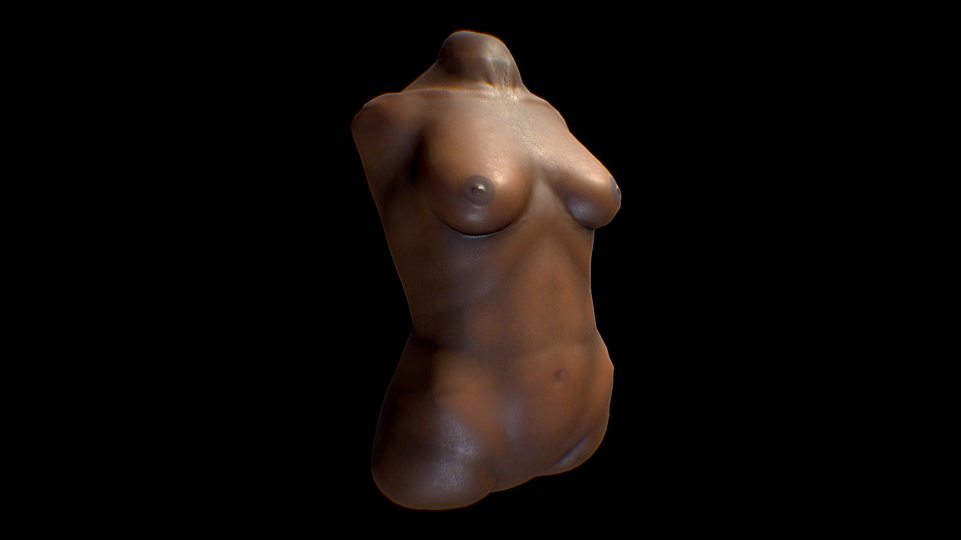 Female torso study - 3D model by Anne Linden (@AnneLinden) 3d model