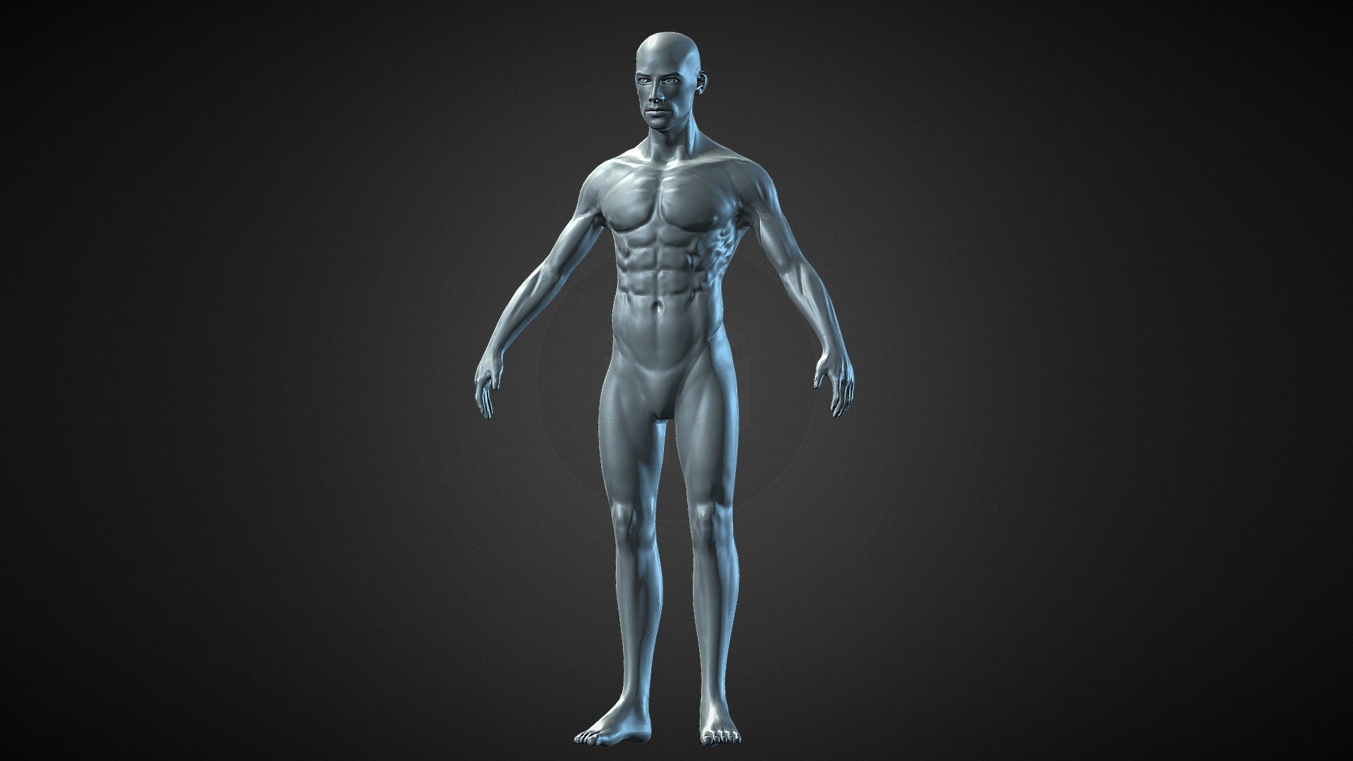 Here is a low poly model for a male character who is rather ripped. Enjoy! - Male base mesh with muscle detail - Download Free 3D model by C.J..Goldman 3d model