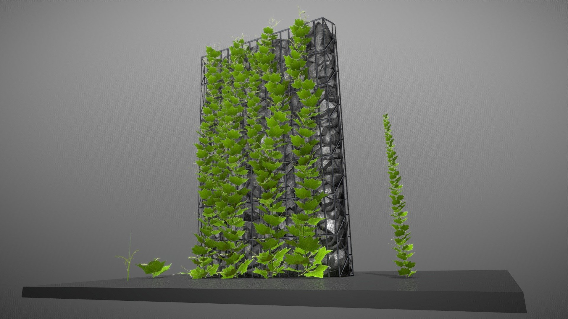 Just another test of  some modifiers combinations.

 - Vines - Climbing Plants (WIP-2) - 3D model by VIS-All-3D (@VIS-All) 3d model