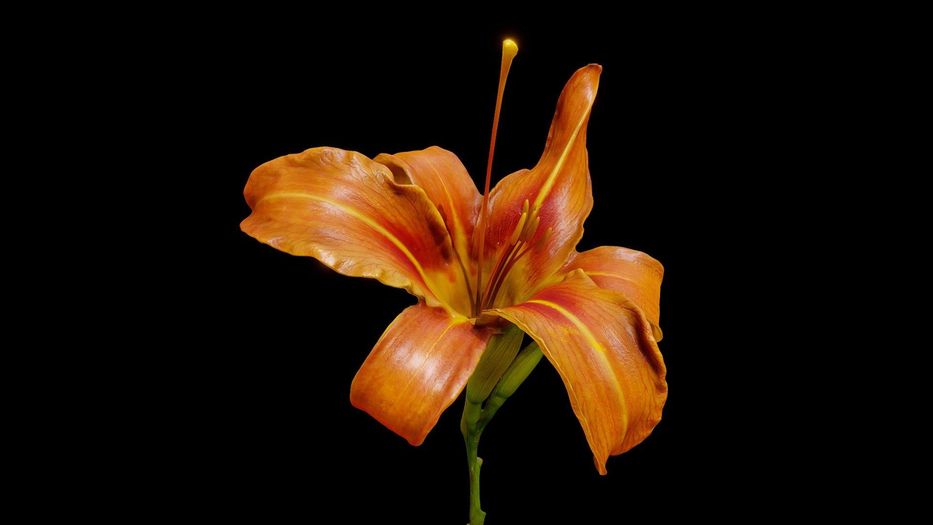 Orange day-lily

Made with Metashape, Blender and Subtance painter

300 Photos taken with a “Pixel 6 pro”




If you have any questions, contact me.

 
 

 - Orange day-lily - Buy Royalty Free 3D model by Zacxophone 3d model