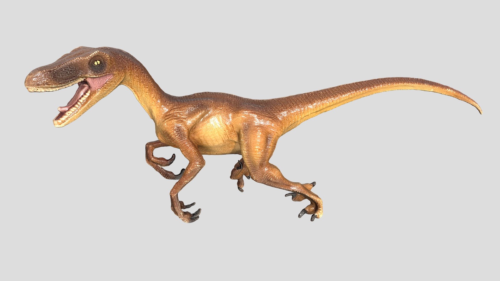 A photoscanned velociraptor model. Approximately 5
