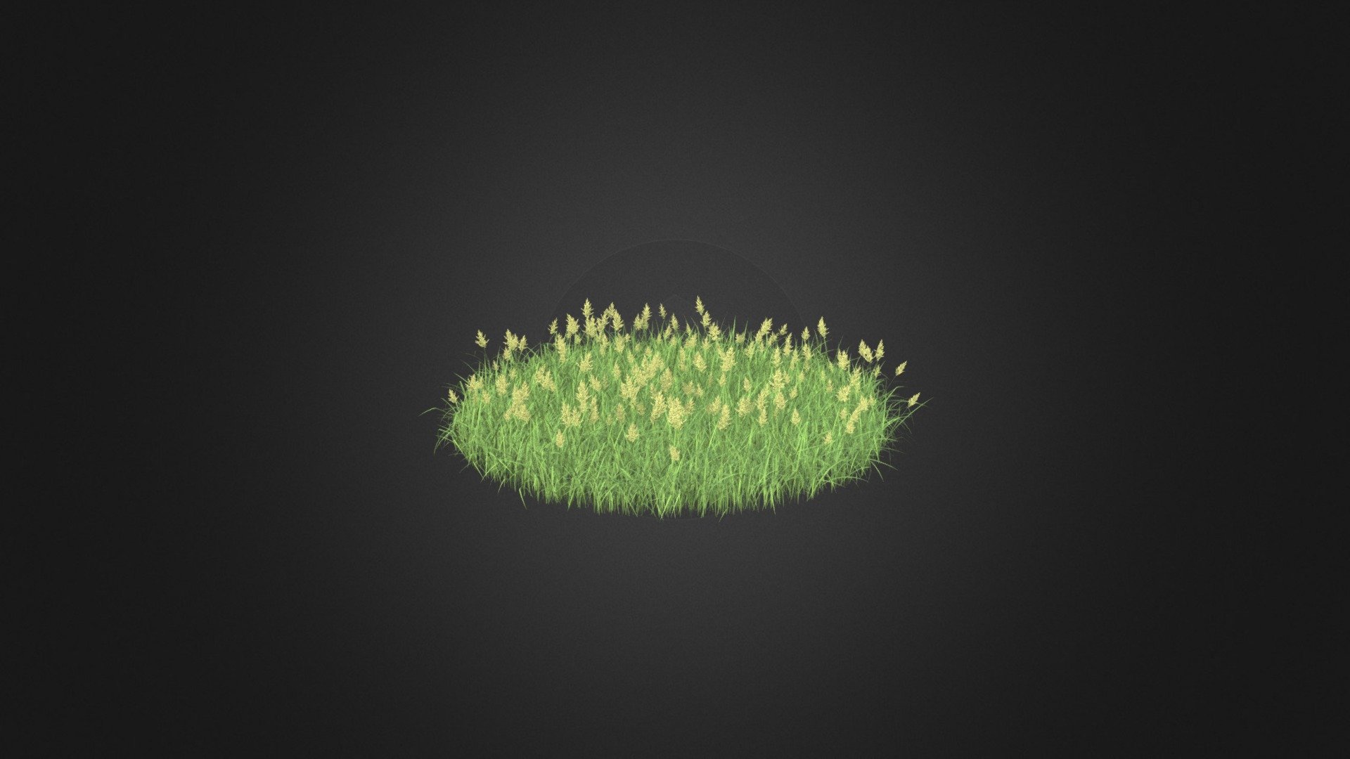 Round shaped flowering grass 3d model. Diameter: 160cm. Compatible with 3ds max 2010 or higher, Cinema 4D and many more 3d model