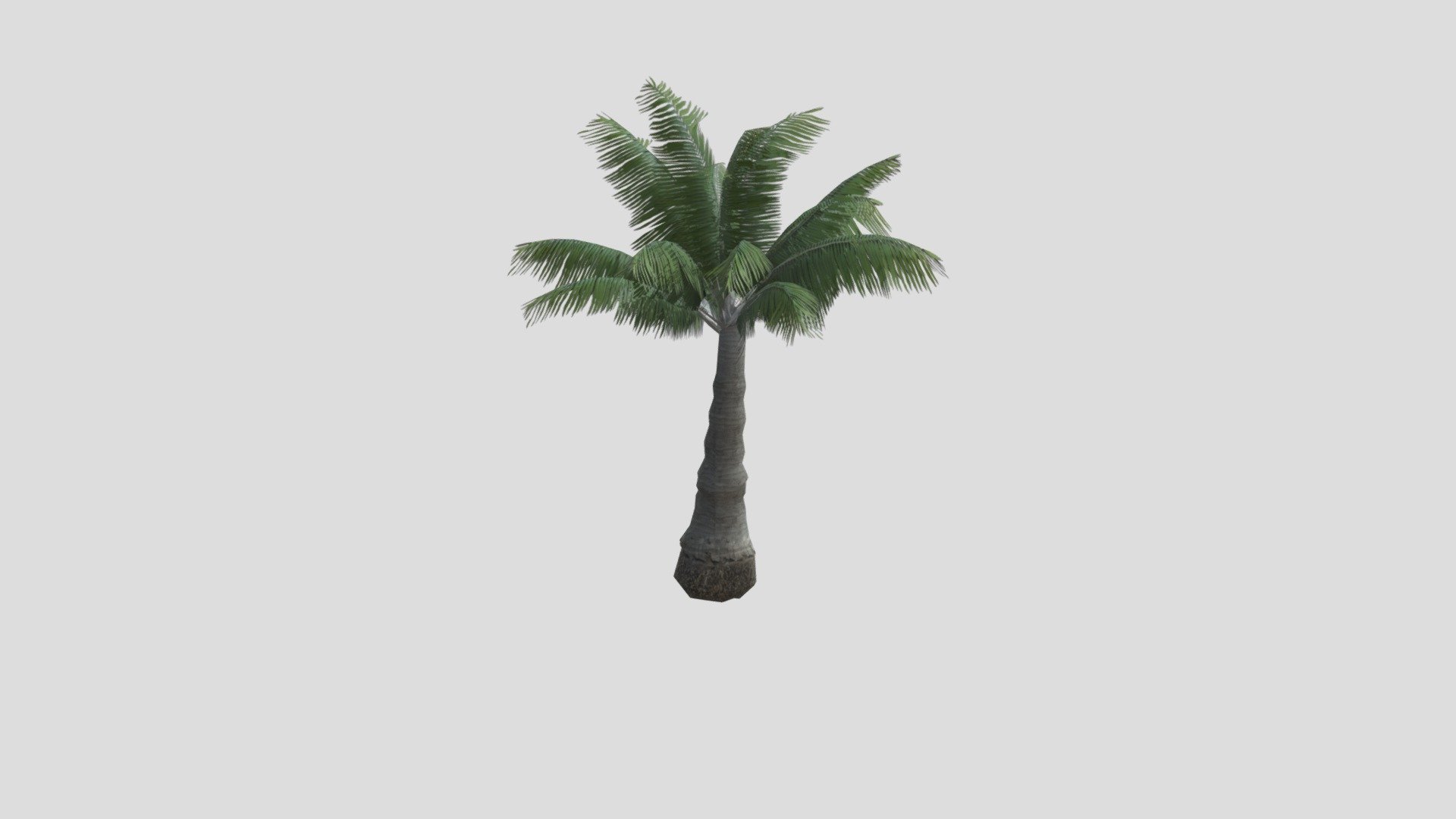 A young palm tree - Young Palm - Download Free 3D model by The_Structure_World 3d model