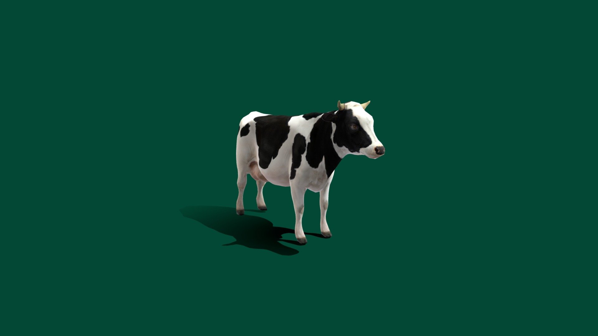 Non Commercials

Preparing animals addon low ploy assets

Dairy cattle are cattle bred for the ability to produce large quantities of milk, from which dairy products are made. Dairy cattle generally are of the species Bos taurus 3d model