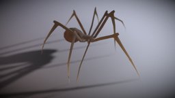 Animated Low poly spider