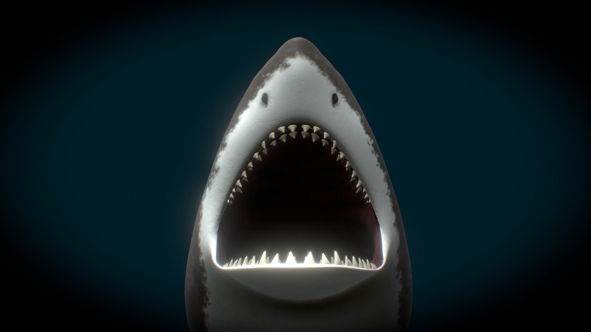 Shark modelled in Blender, painted in Substance Painter.

Free to download and use in your project 3d model