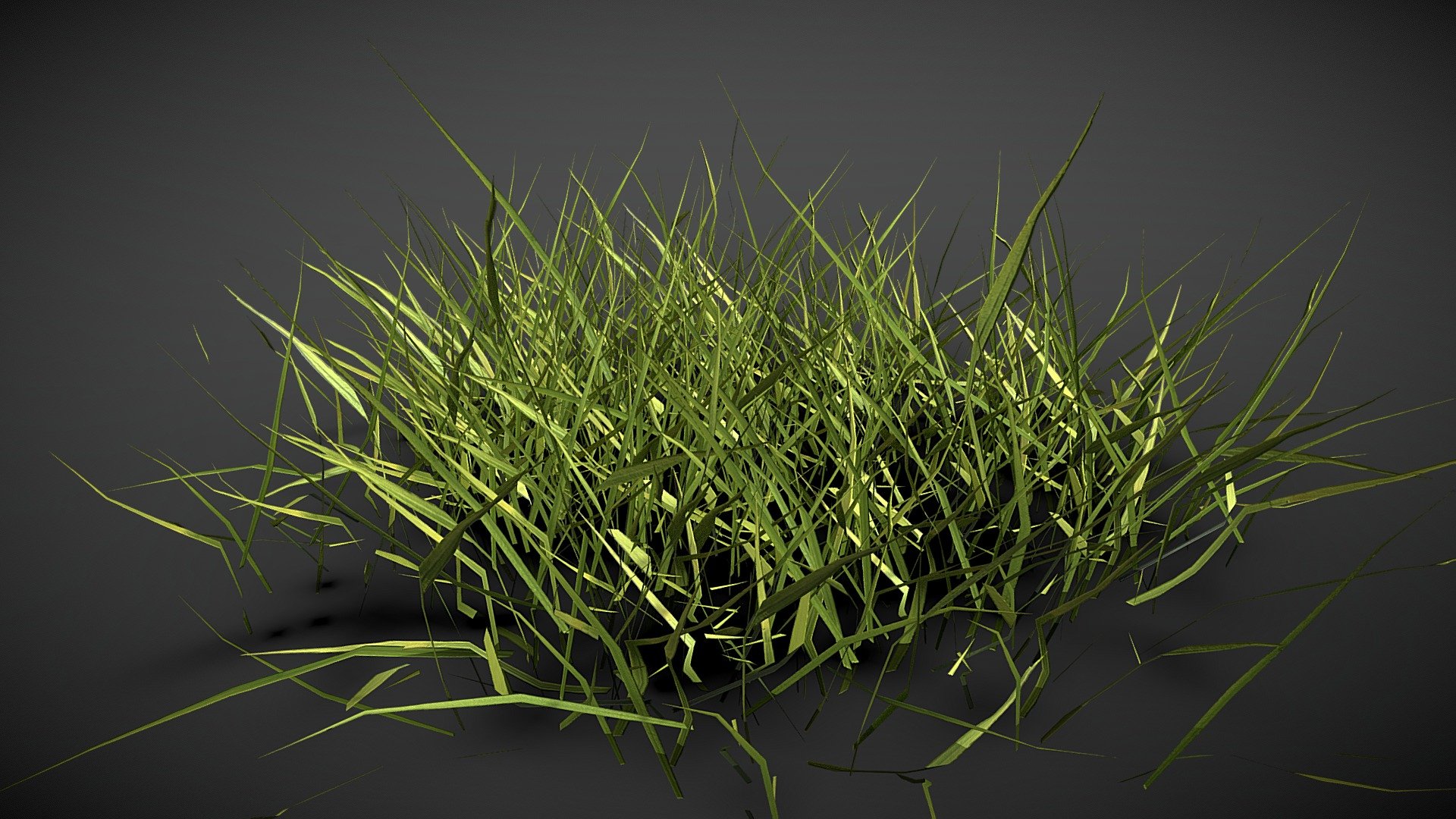 Realistics grass
free realistics grass scan
low poly grass 3d modal
high poly grass 3d modal
this modal is free
prisma 3d grass scsn modal - Realistics grass 03 - Download Free 3D model by Digital screen official (@ck212575) 3d model
