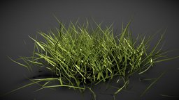 Realistics grass 03 grass, grasshopper3d, grasslands, terrain-model, blender3d, lowpolygrass, lowpolygrassasset