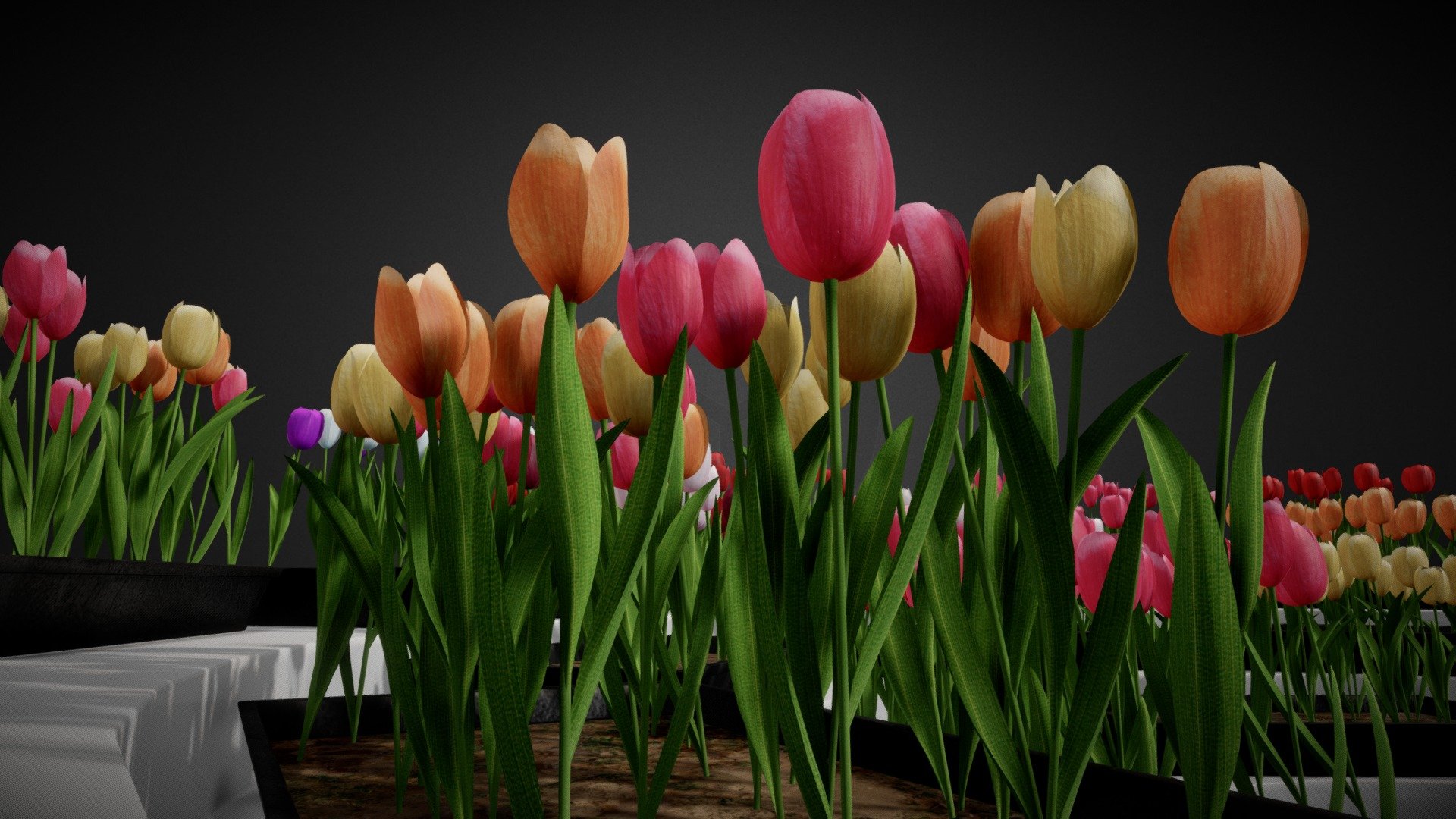 Tulips Collection



Asset Pack Description:-



Tulips with different color Variations.

Pot Meshes with Tulips

fbx Included

Textures included with all Petals color Variations


Additional Files Structure



Export Folder contain all the fbx model

Texture folder contain all the Textures

Tulips Collection Blend File and Export Blend File


Thank You!
Contact me:nk.vmc.s@gmail.com - Tulips Collection - Buy Royalty Free 3D model by Nicholas-3D (@Nicholas01) 3d model