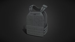 Plate Carrier Gray