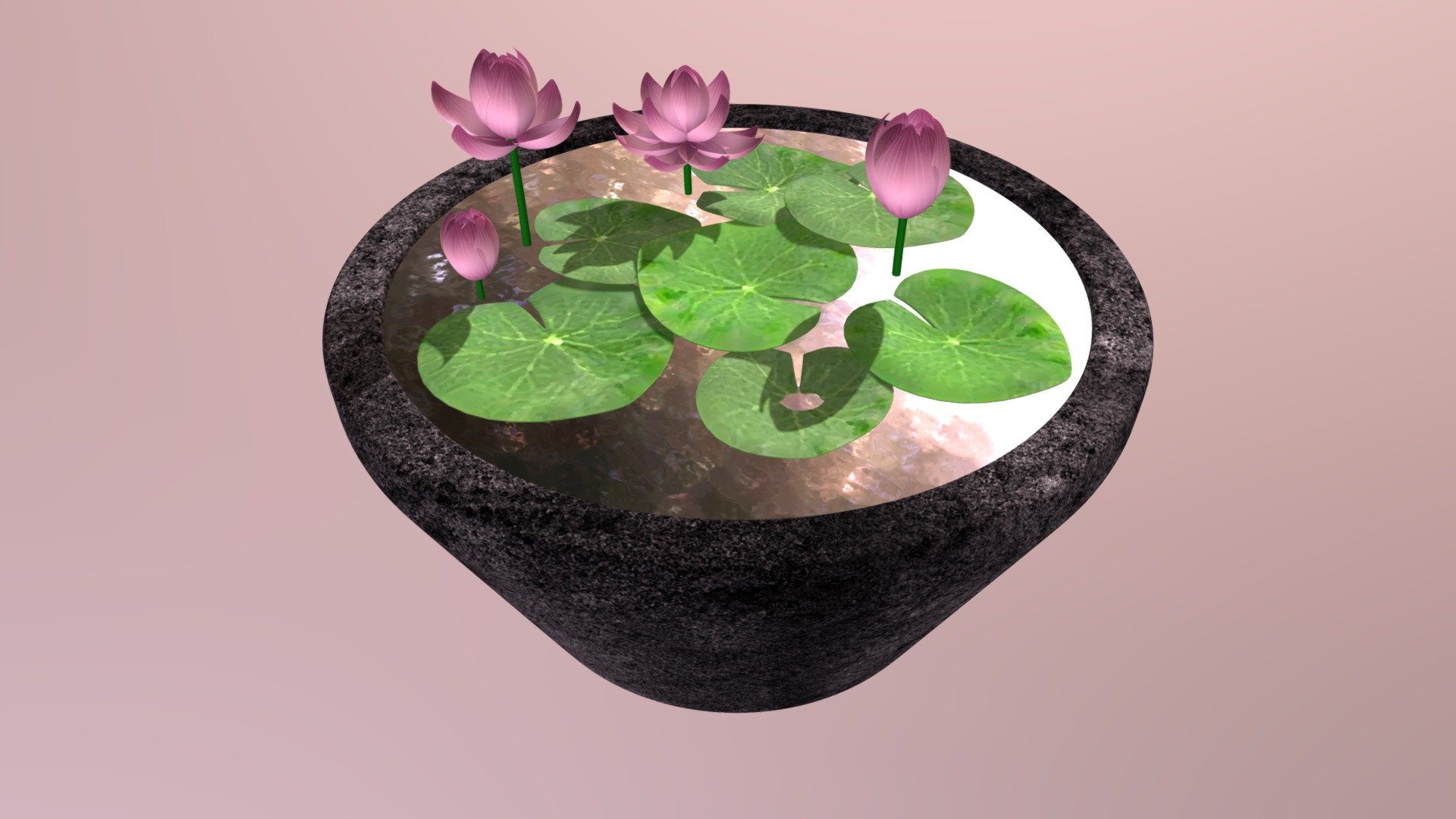 3D Model of blooming lotus flowers in a concrete pot 3d model