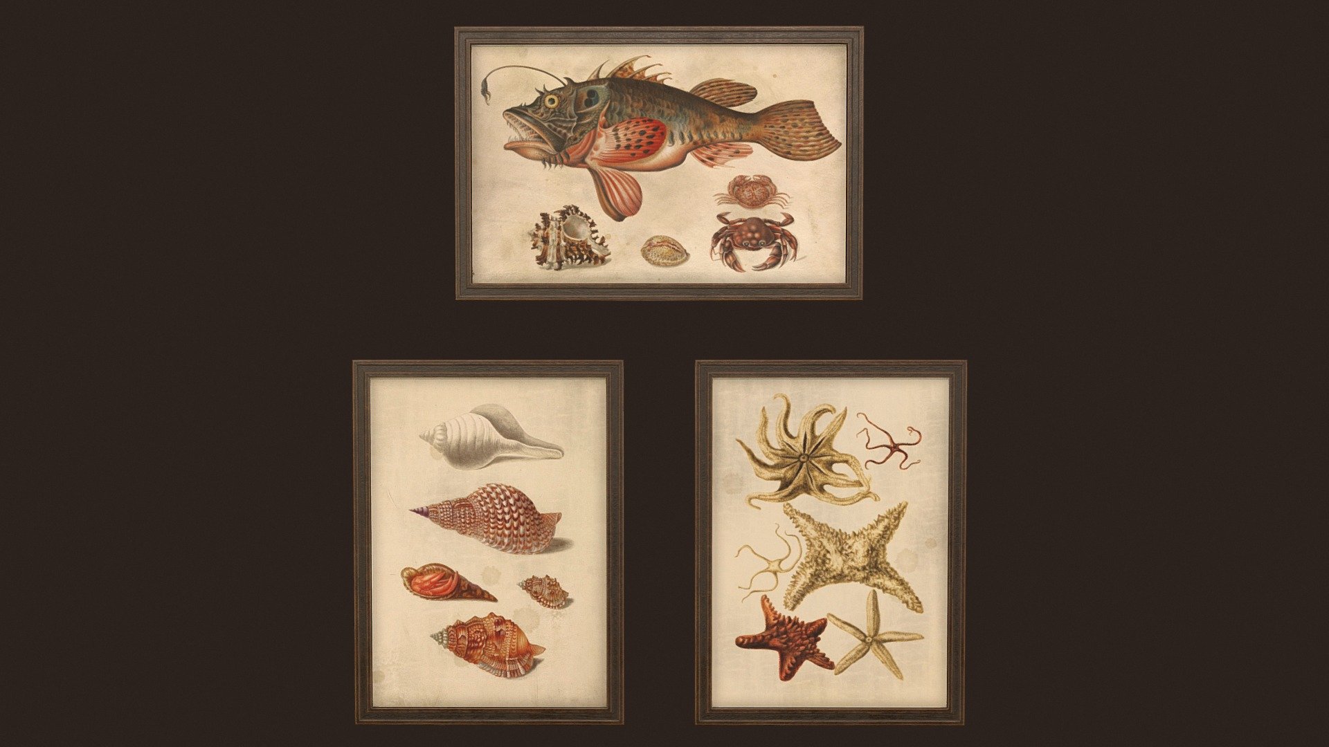 This pack includes 3 pictures with artwork by Maria Sibylla Merian (1647-1717).

UVs: channel 1: overlapping; channel 2: non-overlapping (for baking lightmaps).

Formats: FBX, Obj. Textures format: TGA. Textures resolution: 2048x2048px.

Textures set includes:




Metal_Roughness: BaseColor, Roughness, Metallic, Normal, Height, AO.

Unity 5 (Standart Specular): AlbedoTransparency, AO, Normal, SpecularSmoothness.

Unreal Engine 4: BaseColor, OcclusionRoughnessMetallic, Normal.



More pictures:

Herbarium pictures: https://sketchfab.com/3d-models/herbarium-pictures-08f2bad07b03466f9cedad9988201e0c

Entomological pictures: https://sketchfab.com/3d-models/entomological-pictures-e8d594361b3240f6a69964bc237eb4eb



Artstation: https://www.artstation.com/tatianagladkaya

Instagram: https://www.instagram.com/t.gladkaya_ - Pictures - Download Free 3D model by Tatiana Gladkaya (@tatiana_gladkaya) 3d model