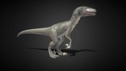 Fantasy Monster : Velociraptor unreal, velociraptor, unity, pbr, gameasset, monster, animated, rigged, dinosaur, gameready