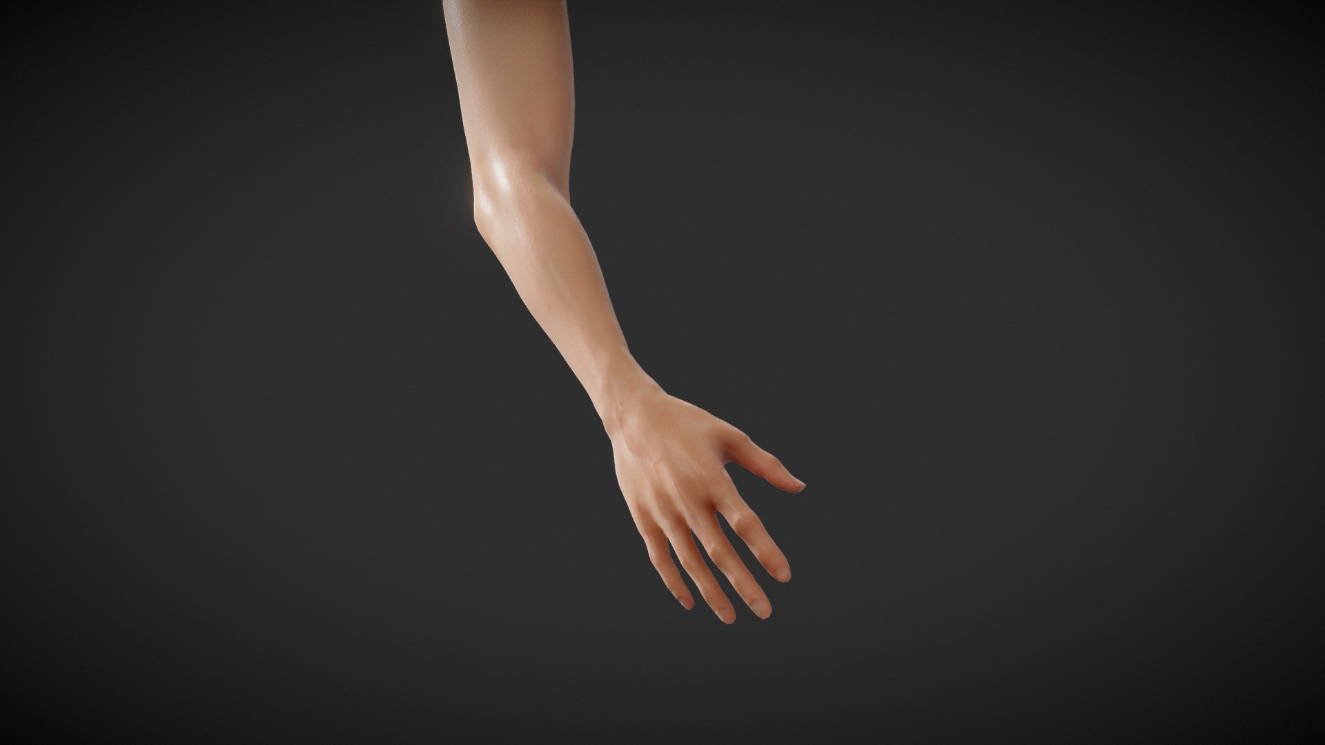 Full Female Body parts pack  is available here - https://skfb.ly/o8YnD

Male Version - https://skfb.ly/o8RzG

A Fit Female Anatomical Arm and Hand with Basic Textures.
Perfect for simulating tattoos and use in Procreate 3D

For Procreate Make sure to download and use the USDZ file if you want to automatically load the model with color texture, otherwise use the OBJ - Fit Female Anatomy - Arm and Hand base mesh - Buy Royalty Free 3D model by Deftroy 3d model