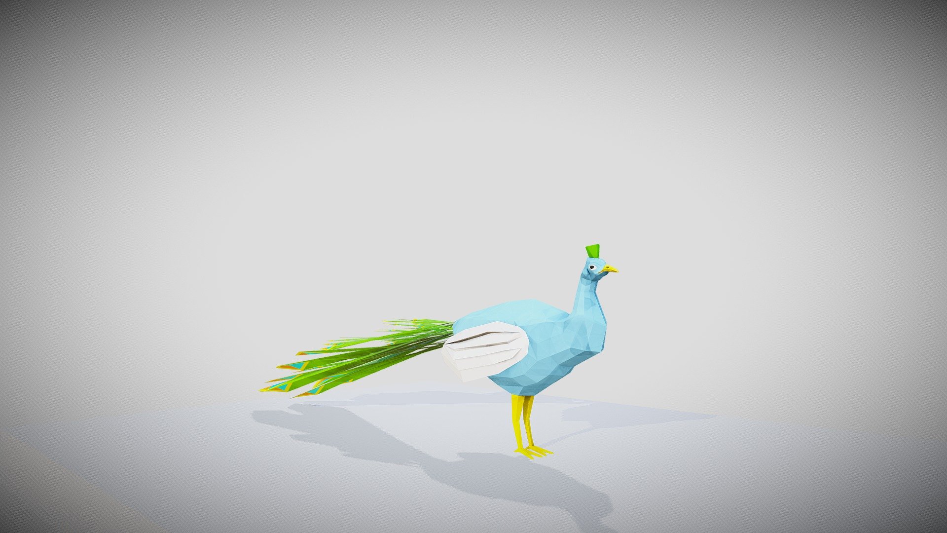low poly Peacock has 5 separate animations 3d model