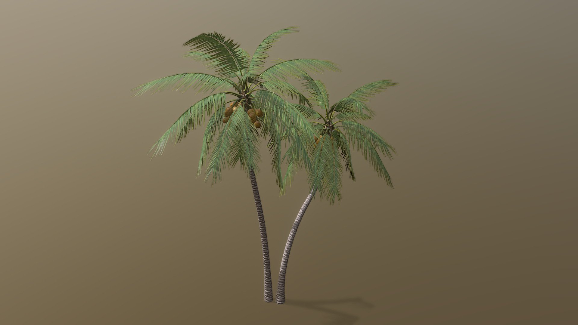 coconut palm created in treeit.

I'm in the middle of making some major changes and updating treeit the app the this palm was made in, so there is going to be a slight delay in creating and uploading new models 3d model