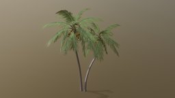 Coconut Palm tree, palm, coconut, free, treeit