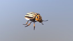 Potato Beetle tree, insect, forest, bird, beetle, pet, leaf, nature, animal