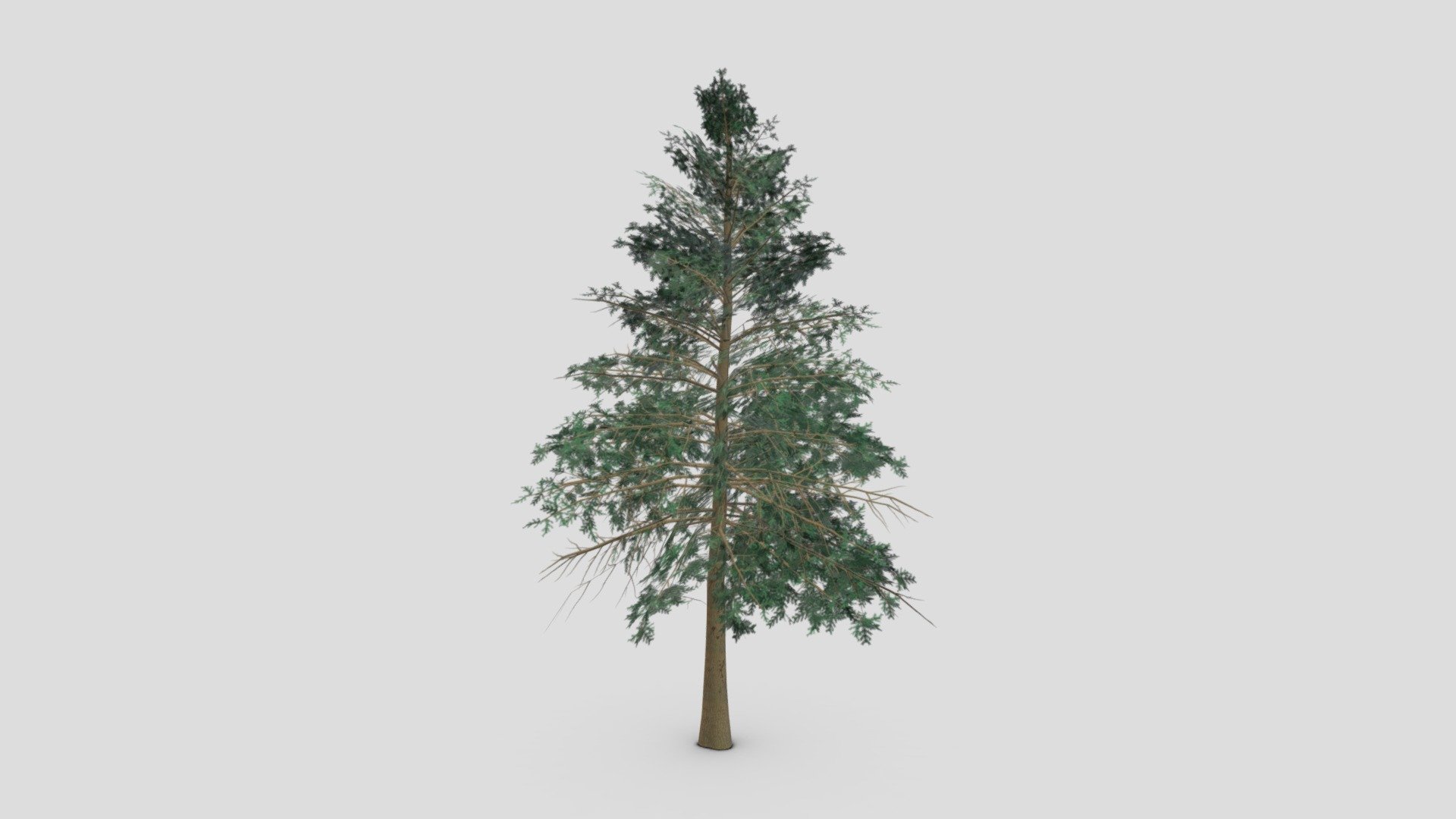 This is a 3D lowpoly model of Pine Tree. you can use this model in your project 3d model