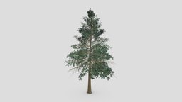 Pine Tree- Lowpoly_ 02 pine, unreal, 3d-model, lowpolymodel, unity, lowpoly-pine