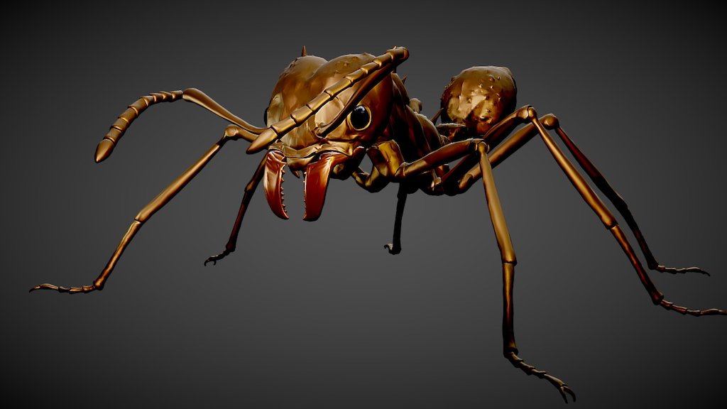 test test - Insect Ant Leafcutter - 3D model by Jevgeny Seiler (@ndrakey) 3d model