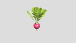 Radish plant, meal, cooking, vegetable, vegetables, salad, root, radish, ingredient, 3d, lowpoly, low, poly, gameready