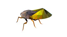 Animated Cicada Lowpoly Art Style