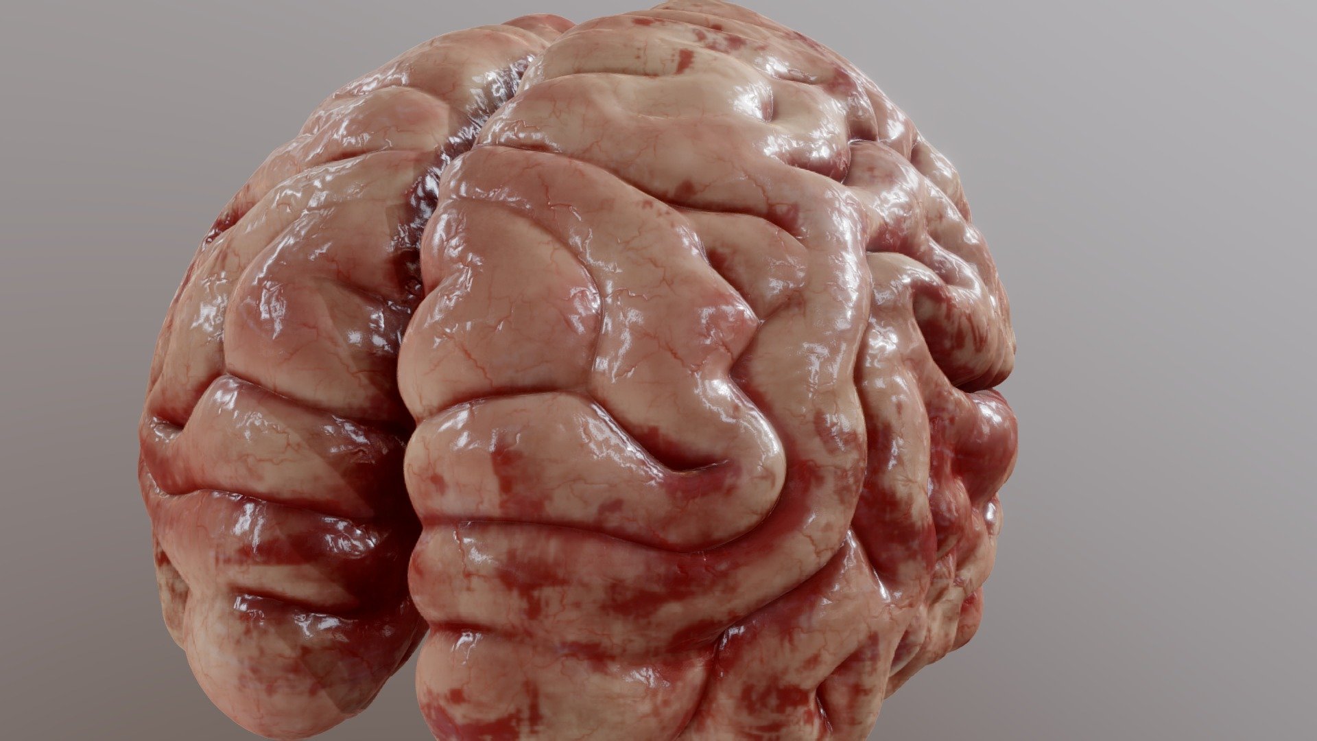 Brain - 3D model by 3dtoz 3d model