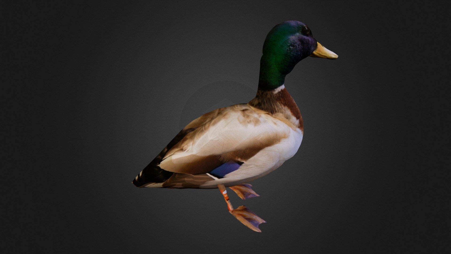 This model has been created with smoothie-3d.com which is a free online modeling tool! - Duck - Download Free 3D model by Chaitanya Krishnan (@chaitanyak) 3d model