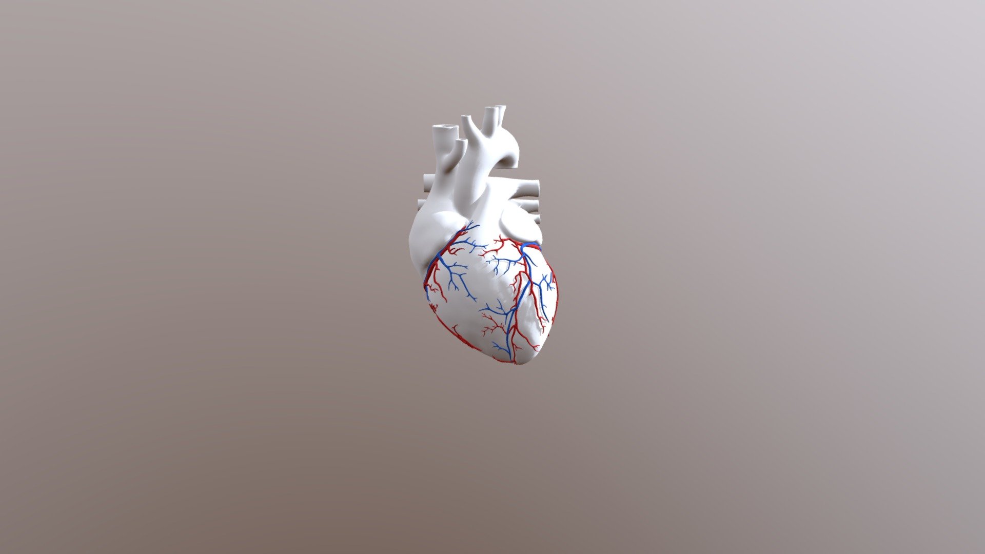 Heart Test3 - 3D model by SciePro (@apmed) 3d model