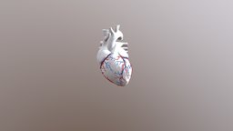 Heart Test3 
