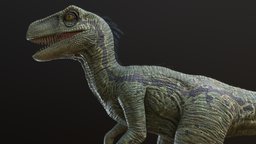 Dinosaur/Raptor raptor, jurassic, dinoasur, game, pbr, animation