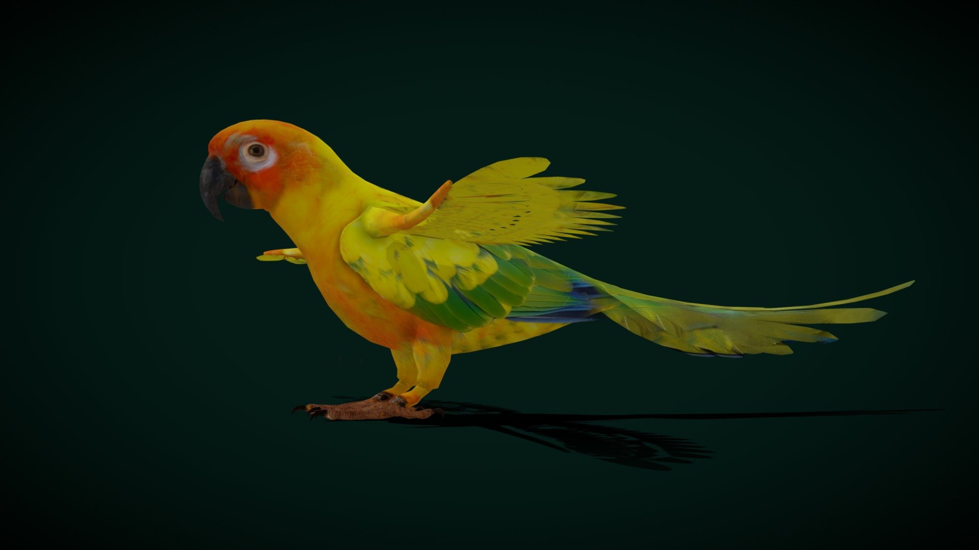 Sun Conures (Yellow parrot,Sun parakeet) Cute, Pet 

Aratinga solstitialis Animal Bird    (colored parrot)  

1 Draw Calls

Low Poly

4K PBR Textures Material

Blend File 

USDZ File (AR Ready). Real Scale Dimension

Textures Files

GLB File (Unreal 5.1  Plus Native Support)

Gltf File ( Spark AR, Lens Studio(SnapChat) , Effector(Tiktok) , Spline, Play Canvas,Omiverse ) Compatible

Triangles : 8460

Vertices  : 5361

Faces     : 4262

Edges     : 9499
 Diffuse, Metallic, Roughness , Normal Map ,Specular Map,AO
Sun Conures (Aratinga solstitialis) at the North Carolina Zoo in Asheboro, North Carolina. This species is listed as Endangered by the IUCN.
The sun conure, also known as the sun parakeet, is a medium-sized, vibrantly colored parrot native to northeastern South America. The adult male and female are similar in appearance, with black beaks, predominantly golden-yellow plumage, orange-flushed underparts and face, and green and blue-tipped wings and 
Scientific name: Aratinga solstitialis
 - Sun Conures Parakeet Bird (Endangered) - Buy Royalty Free 3D model by Nyilonelycompany 3d model