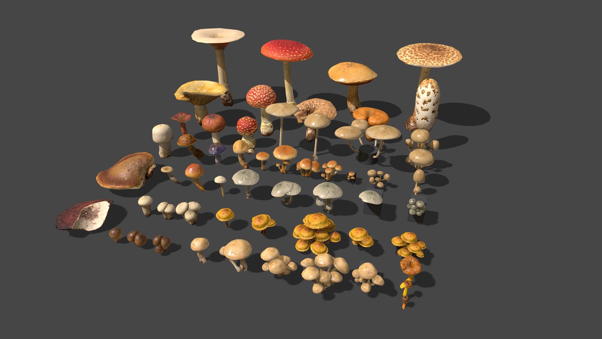 Mushrooms Mega Pack


Contains: 

31 different mushrooms carefully scanned and harvested by myself in the east of France (Haute Savoie), available in 62 differents Mesh variations

2k sized texture (base color, roughness, normal map and translucent)

Quad topology (easily subdivided)



⚠️ Please download the &ldquo;additional files