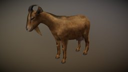 ANIMATED GOAT goat, animals, mammal, domestic, farm, cattle, 3d, lowpoly, gameready