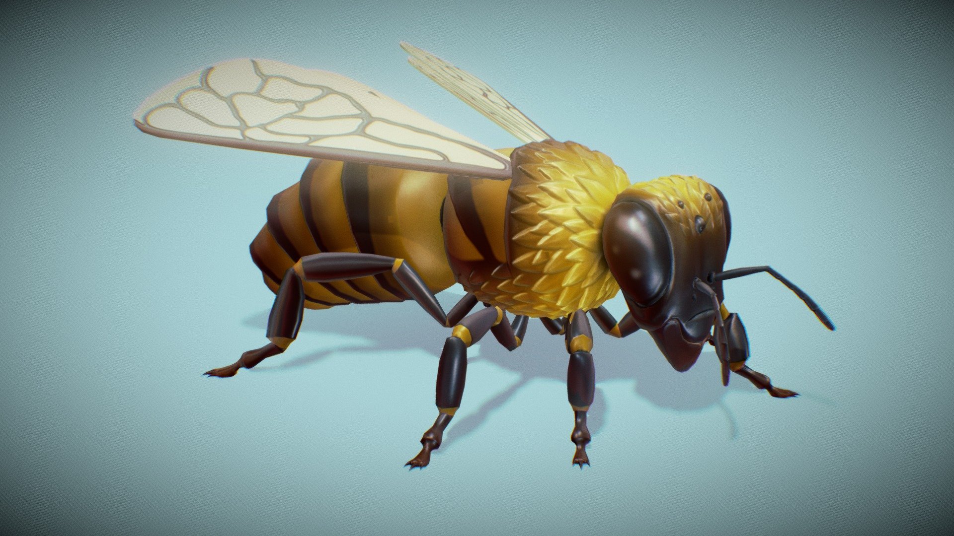 Apis mellifera. A cartoony worker honeybee. This model was made for a personal project videogame but the project got abandoned 3d model