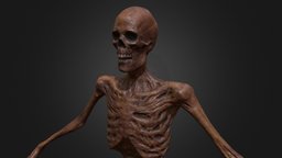 Skeleton Zombie BB skeleton, dead, undead, mummy, scary, corpse, rotten, bones, zombie