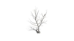 Realistic HD Northern red oak (128/138)