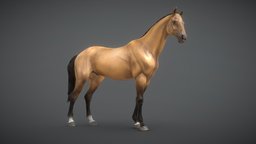 Horse | 3D Sculpting animals, leap, riding, character-design, equine, character-model, cavalry, zbrush-sculpt, hoofed, ungulate, sculpture-3d, stattuetes, substancepainter, substance, horse, zbrush, hippodrome
