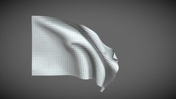 Flag Geometry Cloth Simulation Perfect Loop flower, geometry, effect, visual, window, simulation, motion, infinity, wave, loop, animation, abstract
