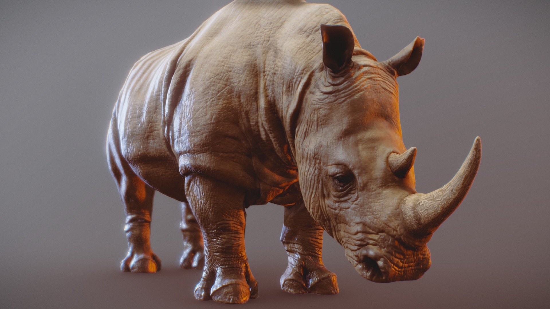 Realistic White Rhino - Rhino - 3D model by Tyron (@Omty) 3d model