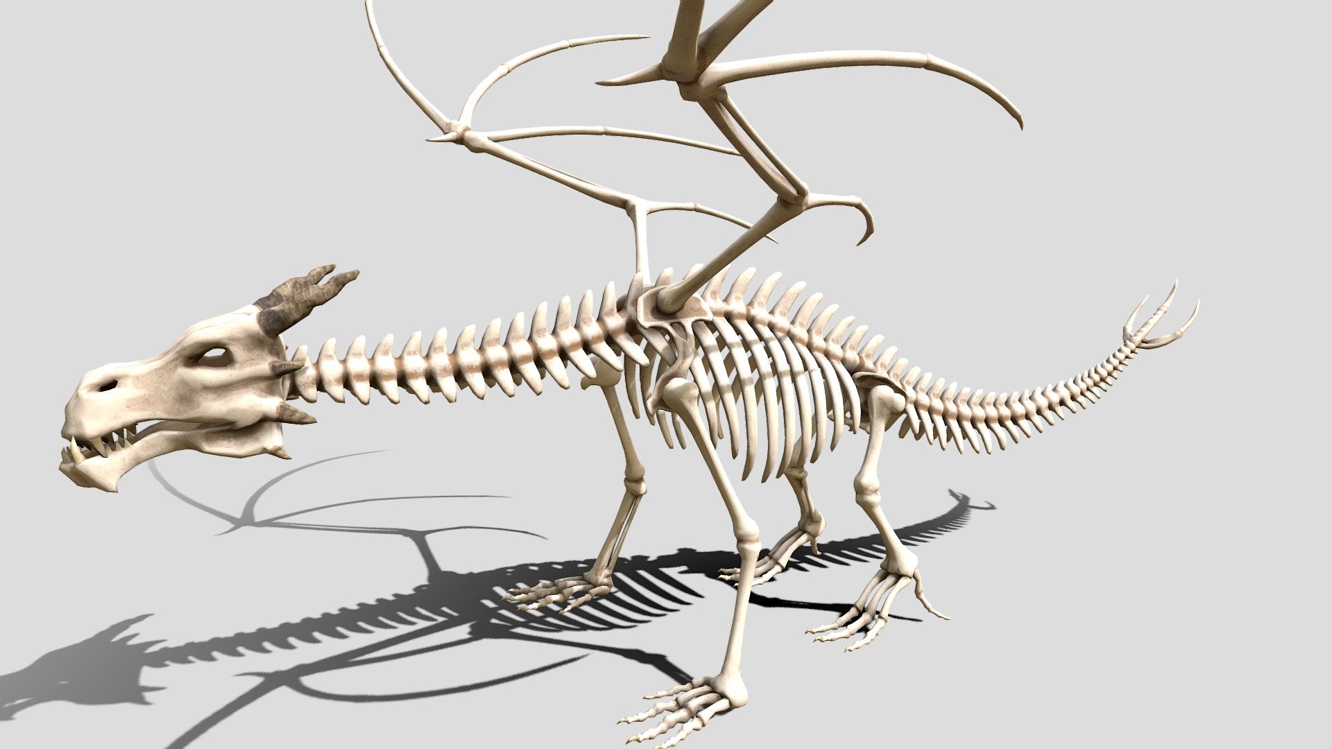 Dragon skeleton for 3d printing - Dragon skeleton - 3D model by Buncic 3d model