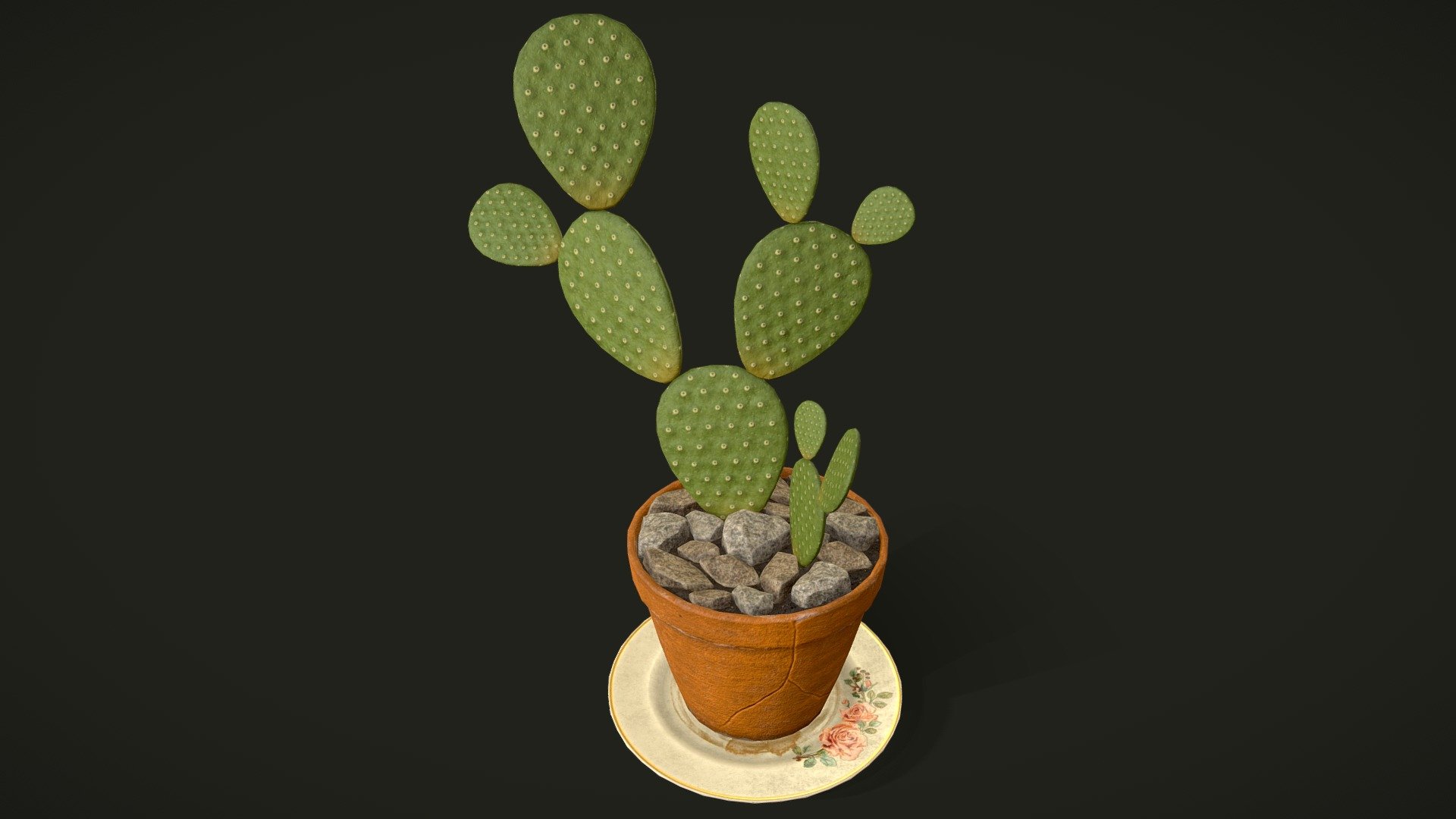 House Cactus Plant it's a lowpoly game ready model with unwrapped UVs and PBR textures.

Normal map was baked from a high poly model.

UVs: channel 1: overlapping; channel 2: non-overlapping (for baking lightmaps).

Formats: FBX, Obj. Marmoset Toolbag scene 3.08 (.tbscene)  Textures format: TGA. Textures resolution: 2048x2048px.

Textures set includes:




Metal_Roughness: BaseColor, Roughness, Metallic, Normal, Height, AO.

Unity 5 (Standart Metallic): AlbedoTransparency, AO, Normal, MetallicSmoothness

Unreal Engine 4: BaseColor, OcclusionRoughnessMetallic, Normal.



Artstation: https://www.artstation.com/tatianagladkaya

Instagram: https://www.instagram.com/t.gladkaya_ - House Cactus Plant - Cactus_01 - 3D model by Tatiana Gladkaya (@tatiana_gladkaya) 3d model