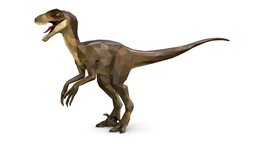 Dinosaur Raptor Lowpoly Art Style Animal